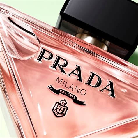 prada harmonium notes|paradoxe prada bottle.